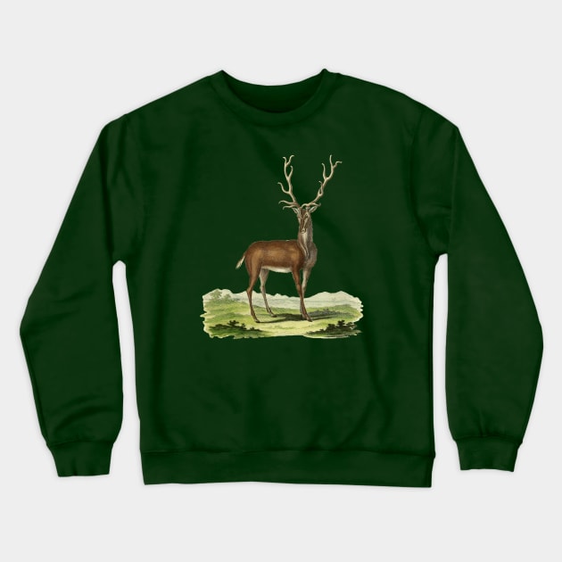 Deer Nature Illustration Crewneck Sweatshirt by Biophilia